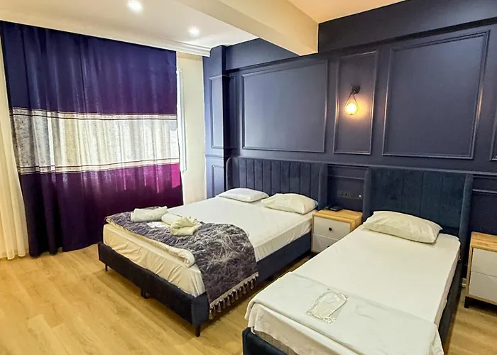 Отель The Reina